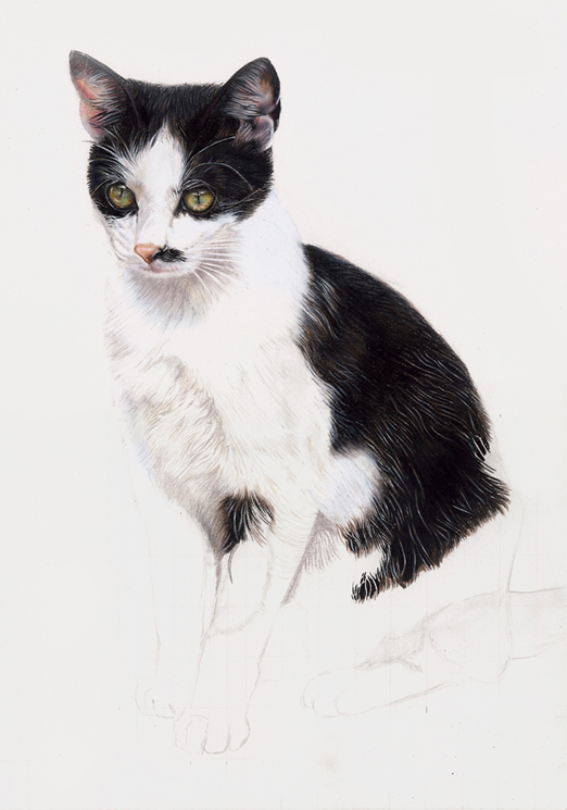 Smudge stage 4